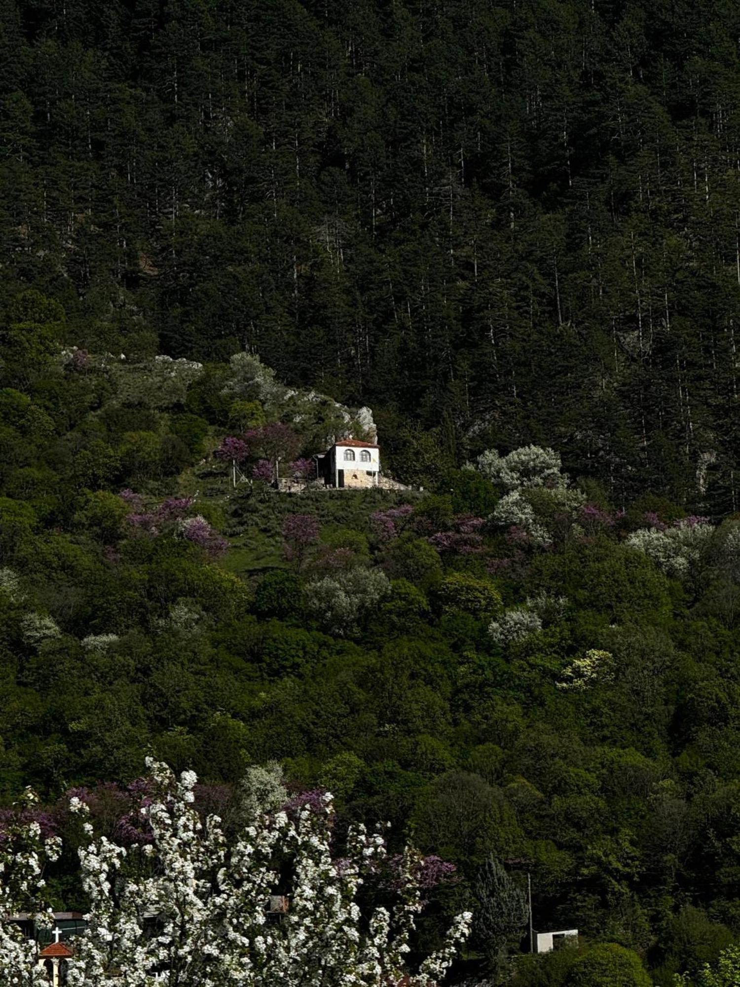 Mountain Serenity コニツァ エクステリア 写真