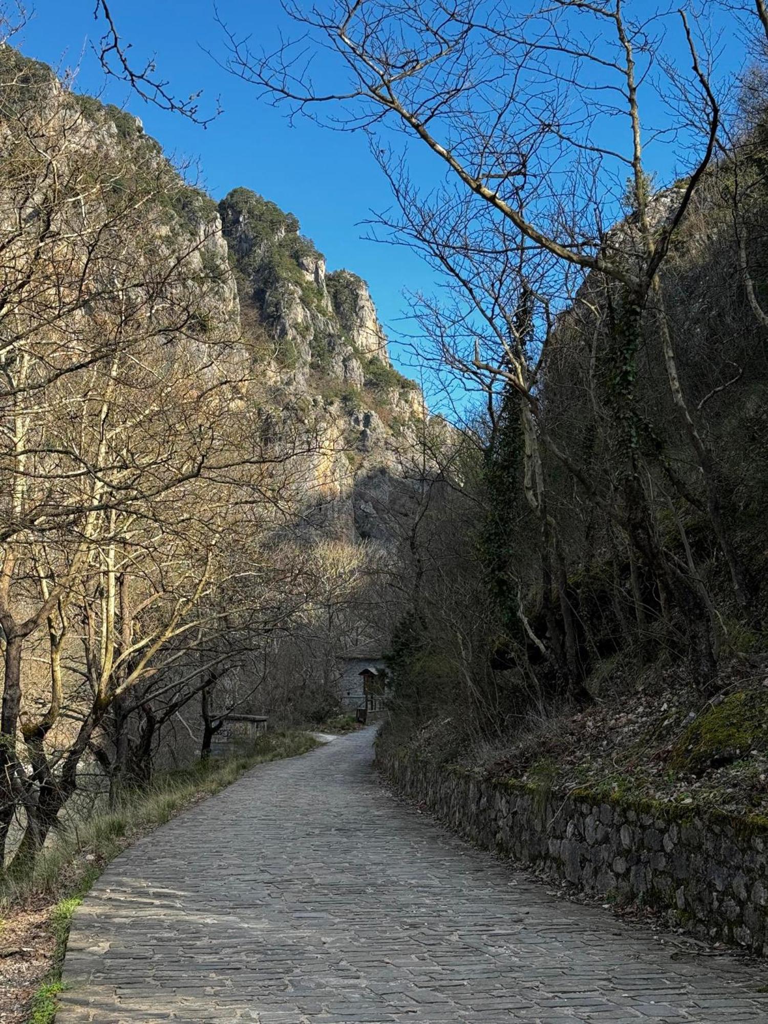 Mountain Serenity コニツァ エクステリア 写真